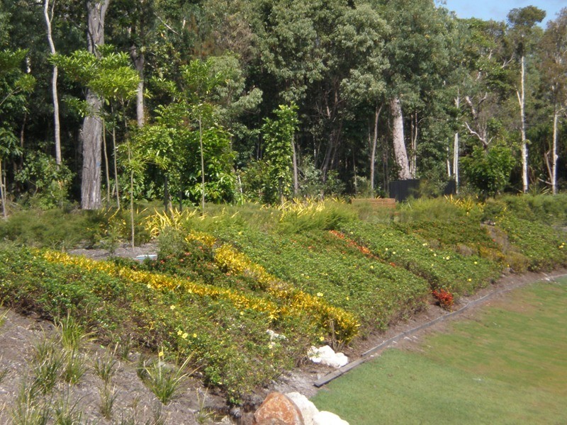 LOT 225 Liontown Way, Trinity Park QLD 4879