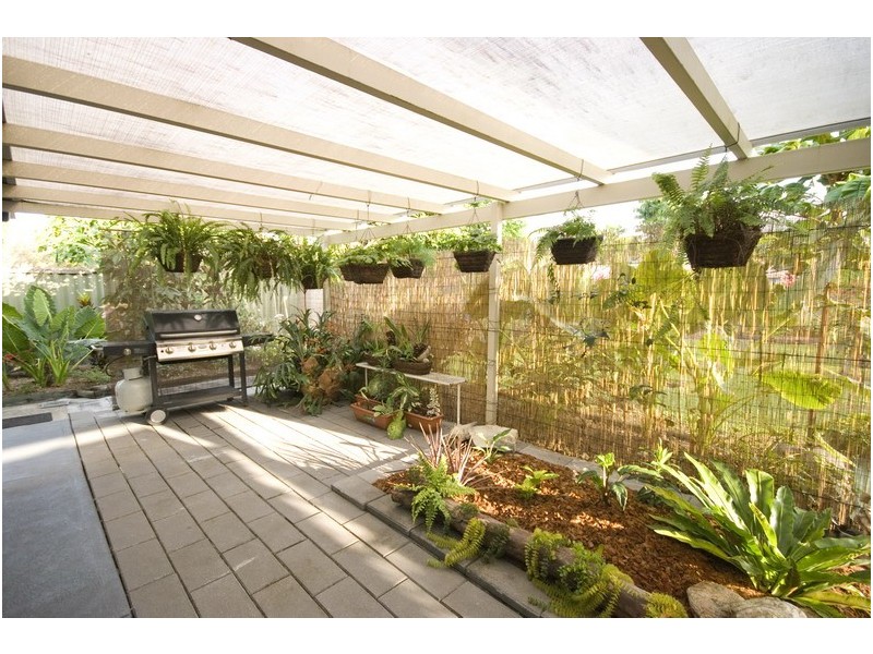 17 Carnation Drive, Mooroobool QLD 4870