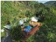 2266 Pine Creek Road, Cairns QLD 4870