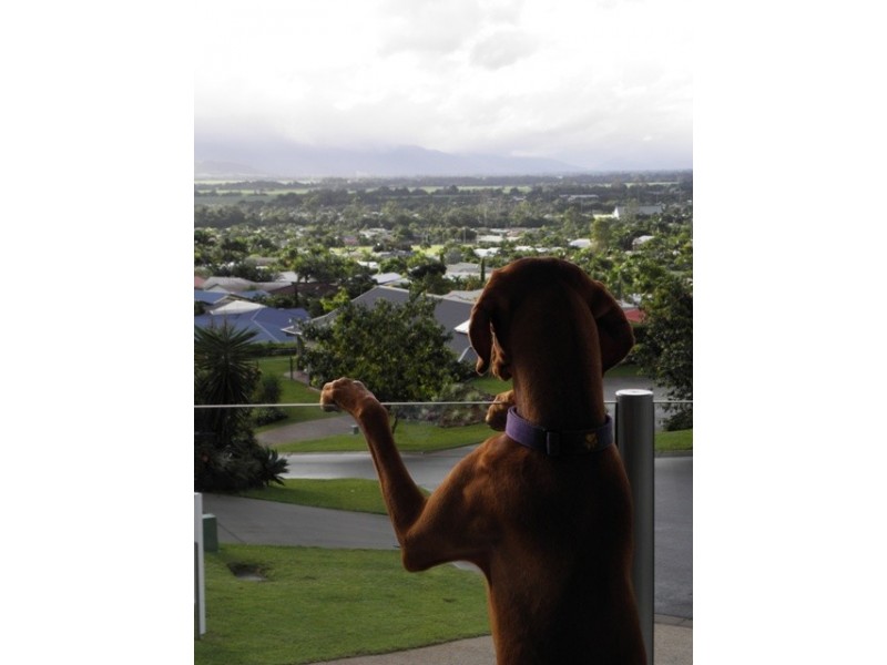 10 Platypus Close, Mount Sheridan QLD 4868