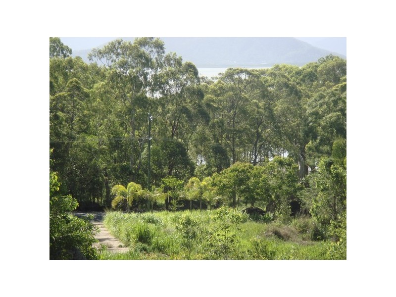 73 Pine Creek Road, East Trinity QLD 4871