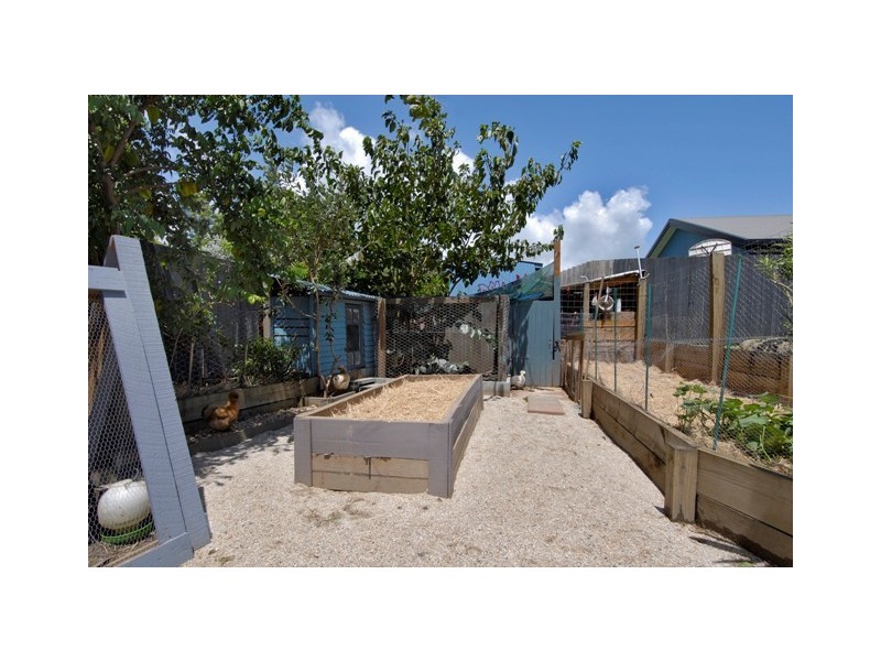16 Tin Sang Close, Edmonton QLD 4869