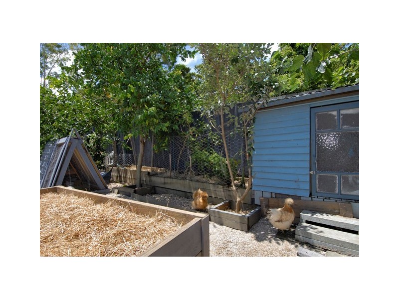 16 Tin Sang Close, Edmonton QLD 4869