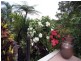 Bayview Heights QLD 4868