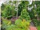 8 Lillian Road, Palm Cove QLD 4879