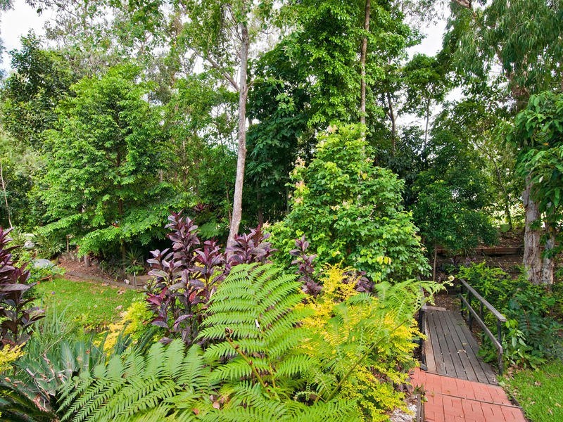 8 Lillian Road, Palm Cove QLD 4879