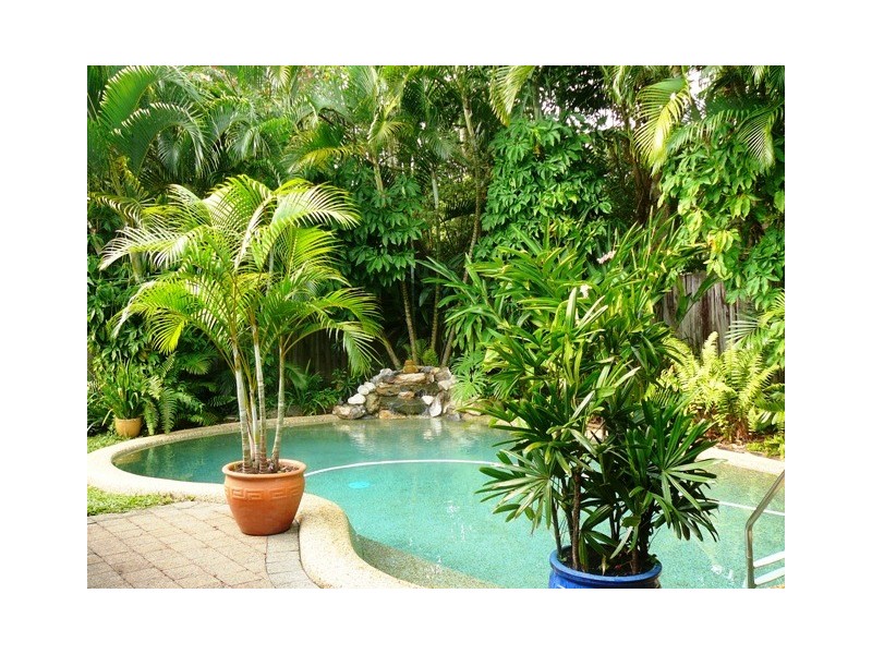 11 Windsor Close, Brinsmead QLD 4870