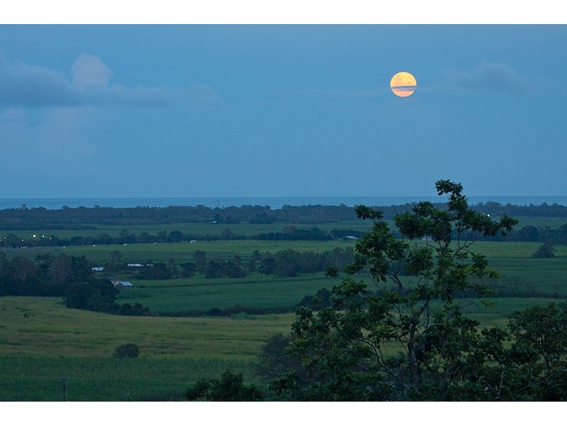 54-56  Fig Tree Drive, Caravonica QLD 4878