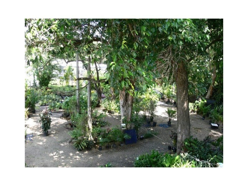 36 Donaldson Street, Manunda QLD 4870