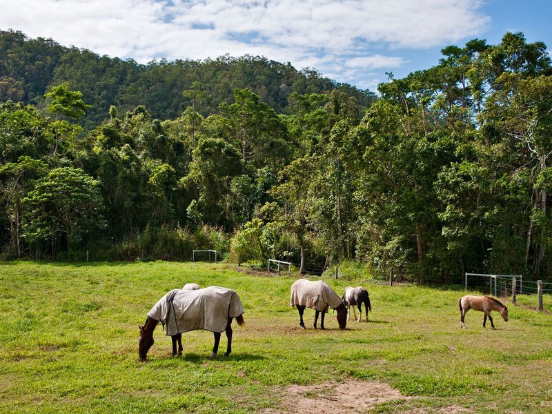 Lot 12 Mohammed Access Road, Edmonton QLD 4869