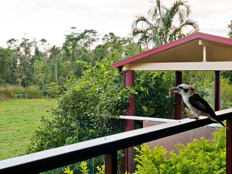 Lot 12 Mohammed Access Road, Edmonton QLD 4869