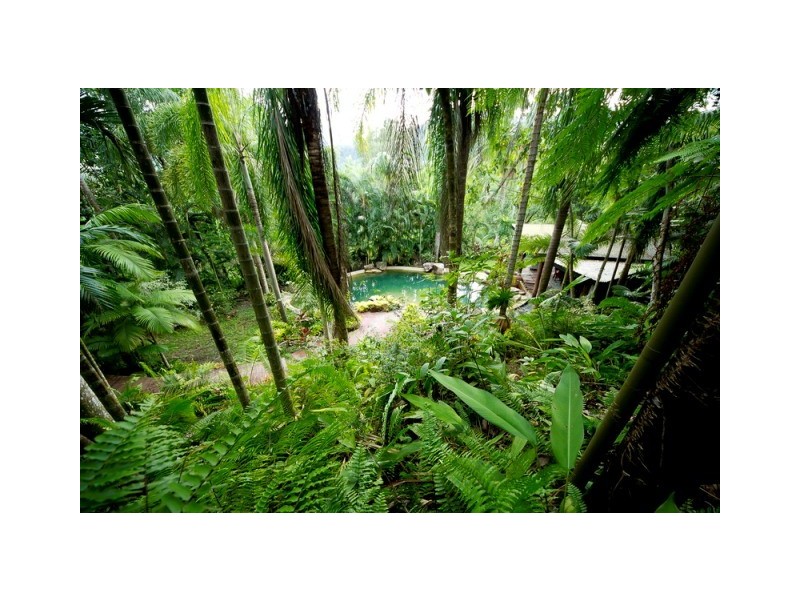 63 Granadilla Drive, Earlville QLD 4870