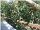 286 Toogood Road, Bayview Heights QLD 4868