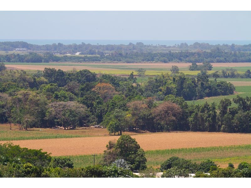 62 Daphne Drive, Redlynch QLD 4870