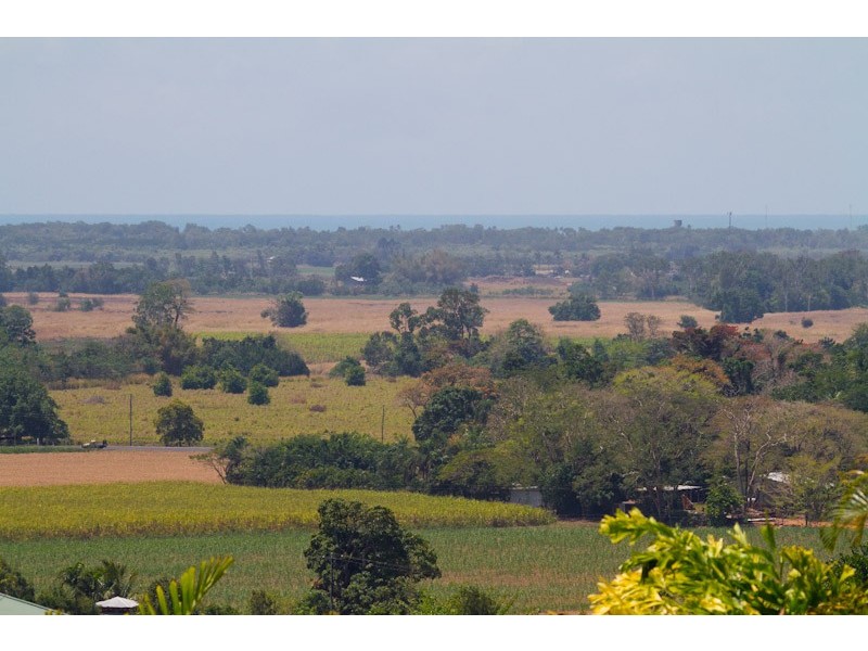 62 Daphne Drive, Redlynch QLD 4870