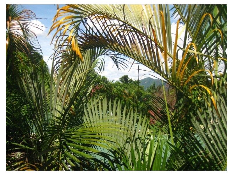 25/3  Stratford Parade, Stratford QLD 4870