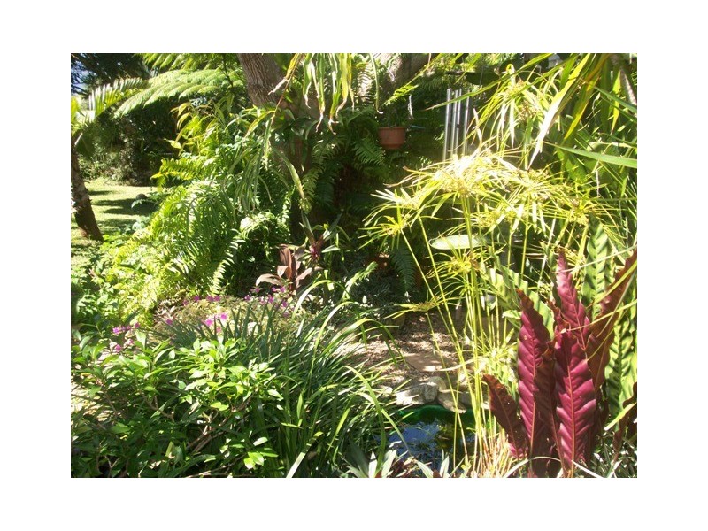 52 Fairview Street, Bayview Heights QLD 4868