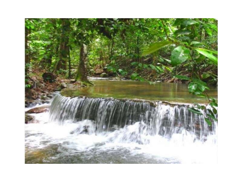 43 Rainforest Road, Edmonton QLD 4869