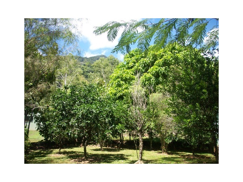 43 Rainforest Road, Edmonton QLD 4869