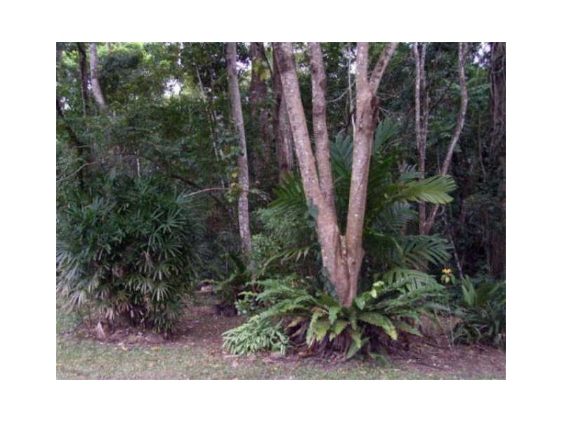 43 Rainforest Road, Edmonton QLD 4869