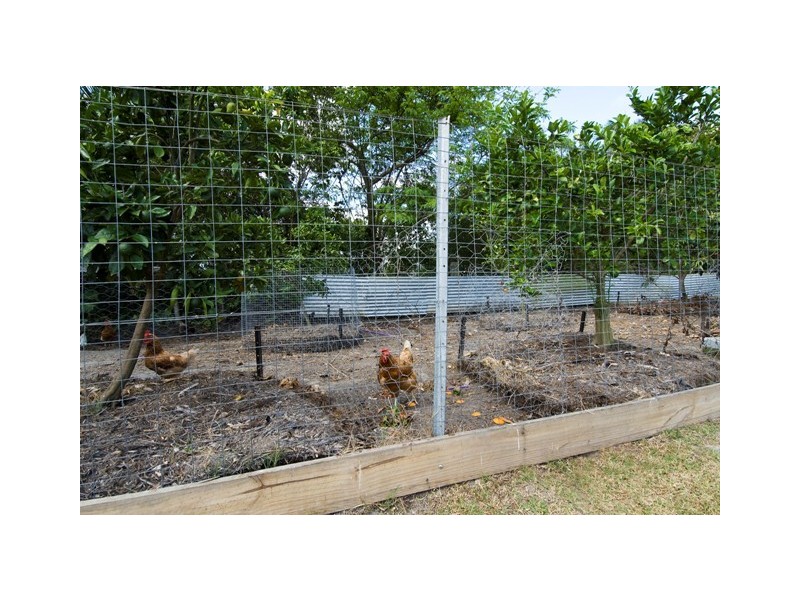 17 Brown Road, Green Hill QLD 4865