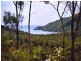 Lot 233 White Beech Road, Cow Bay QLD 4873