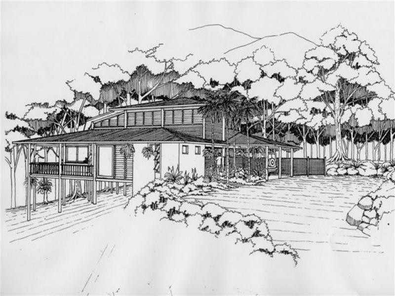 Lot 233 White Beech Road, Cow Bay QLD 4873