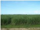 Lot 24 Capt Cook Highway, Holloways Beach QLD 4878