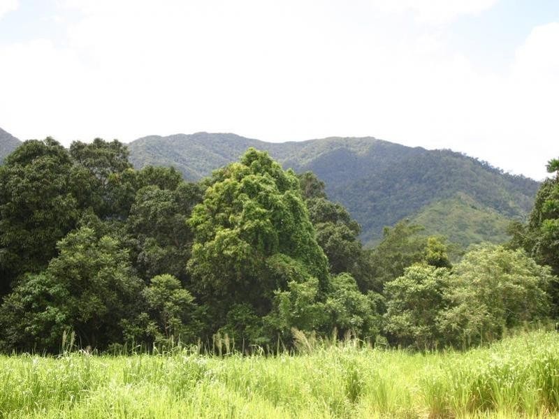 Lot 202 McBride Street, Redlynch QLD 4870