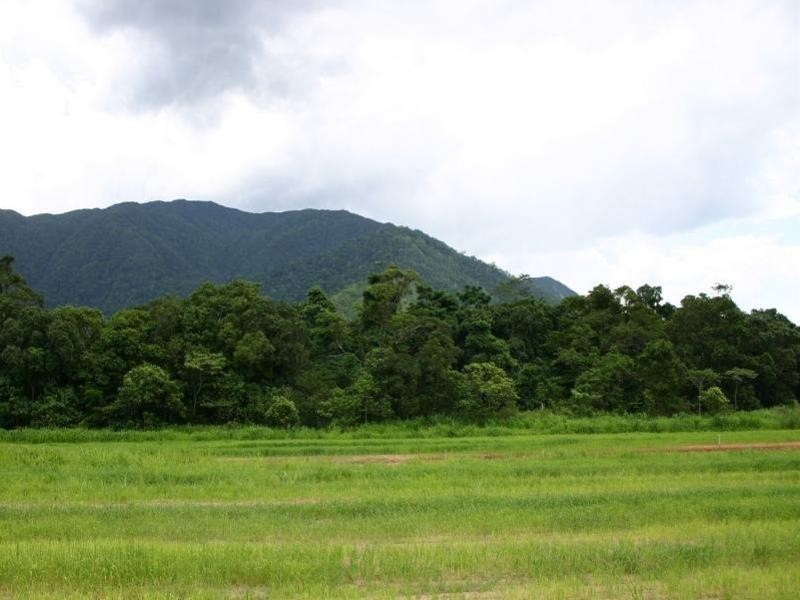 Lot 1215 Scaglioni Street, Redlynch QLD 4870