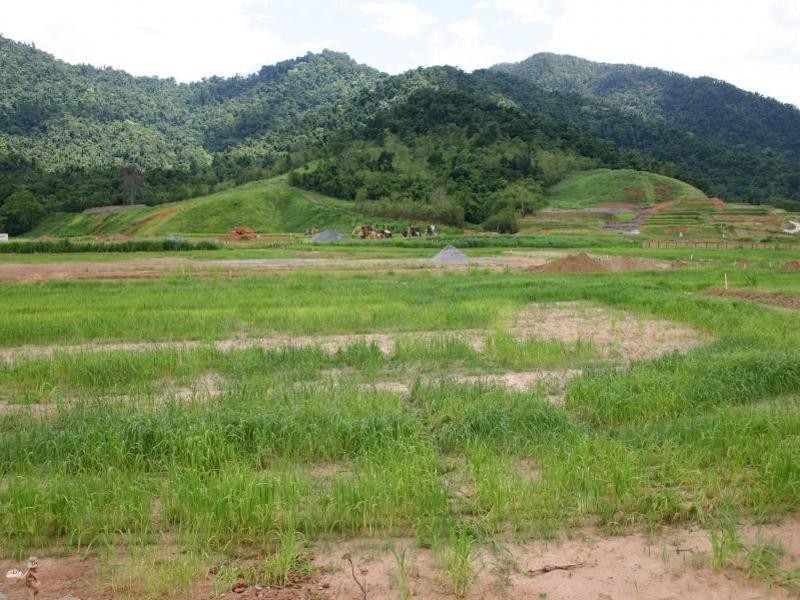 Lot 1215 Scaglioni Street, Redlynch QLD 4870