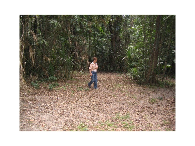 19 Black Mountain Road, Kuranda QLD 4881