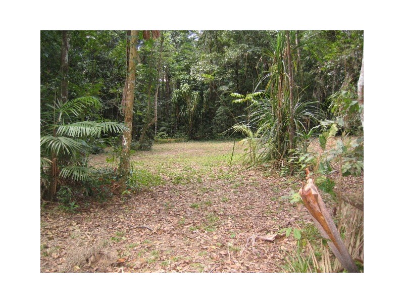 19 Black Mountain Road, Kuranda QLD 4881