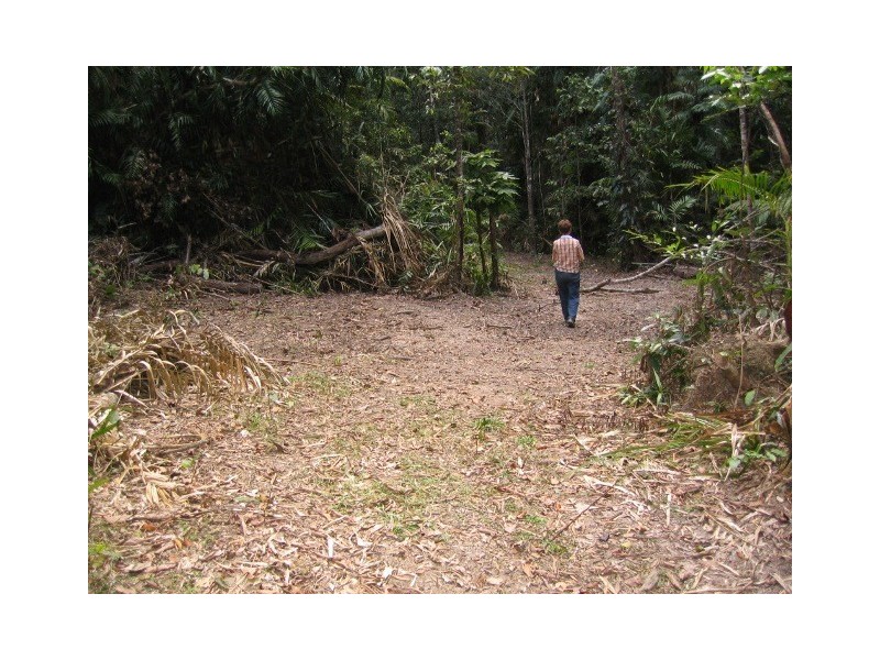 19 Black Mountain Road, Kuranda QLD 4881