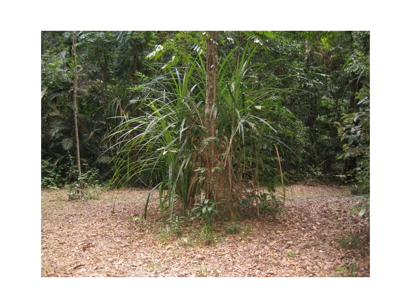 19 Black Mountain Road, Kuranda QLD 4881