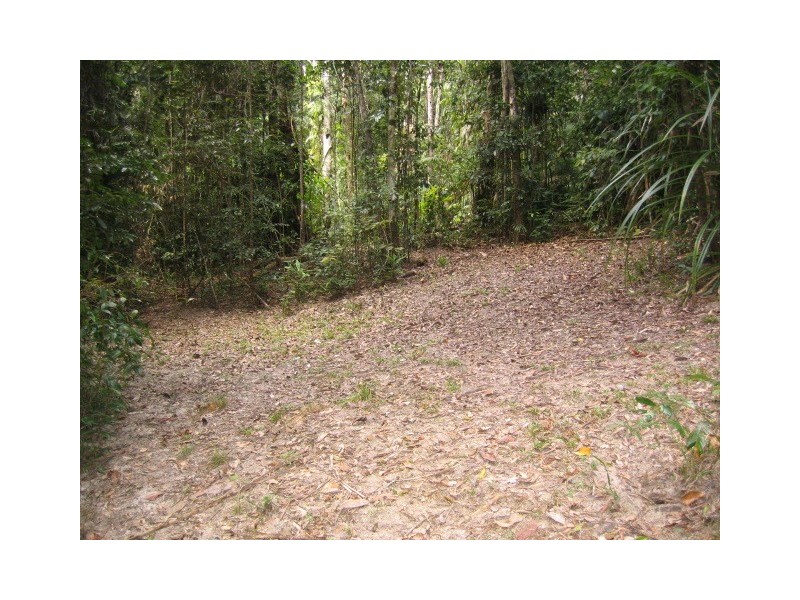 19 Black Mountain Road, Kuranda QLD 4881