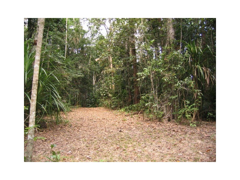 19 Black Mountain Road, Kuranda QLD 4881