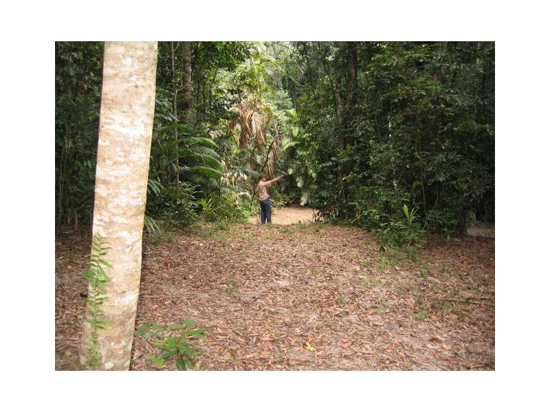 19 Black Mountain Road, Kuranda QLD 4881