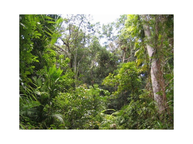 19 Black Mountain Road, Kuranda QLD 4881