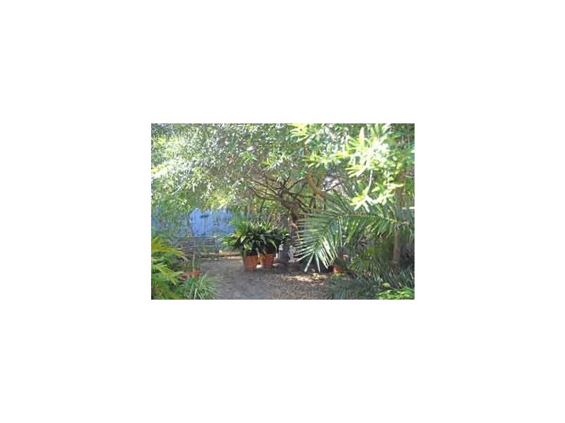 Level G 227B Cope St, Waterloo NSW 2017