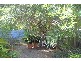 225B  Cope St, Waterloo NSW 2017