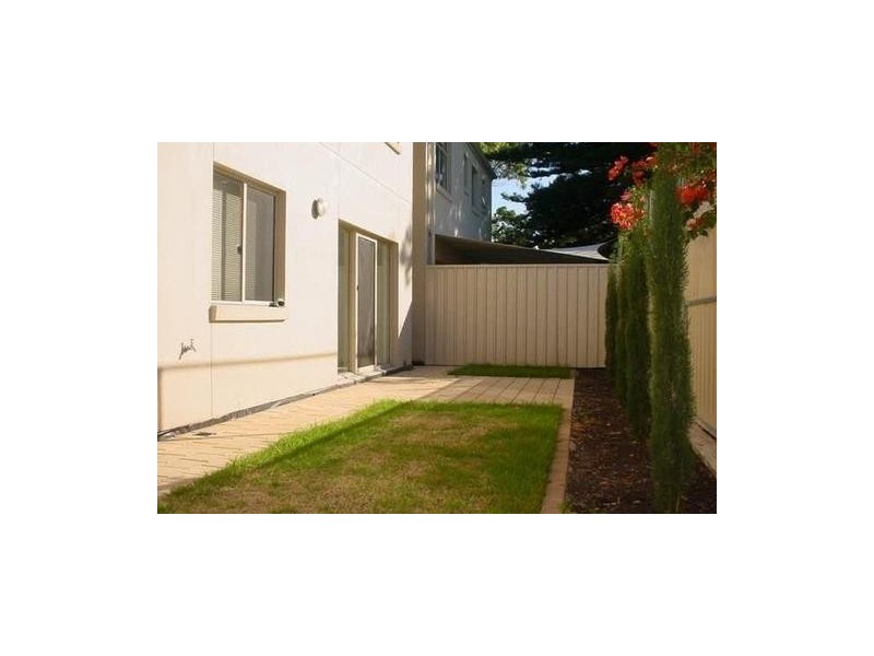 31D  Tarlton Street, Somerton Park SA 5044