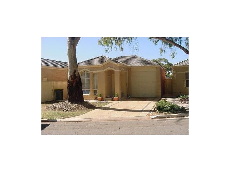 20  Azalea Drive, Lockleys SA 5032