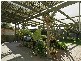 52 Broadway, South Brighton SA 5048