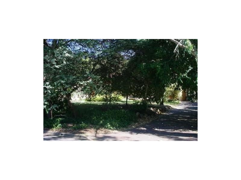 16 HollyWood Way, Glenalta SA 5052
