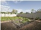 20 Sandery Avenue, Seacombe Gardens SA 5047