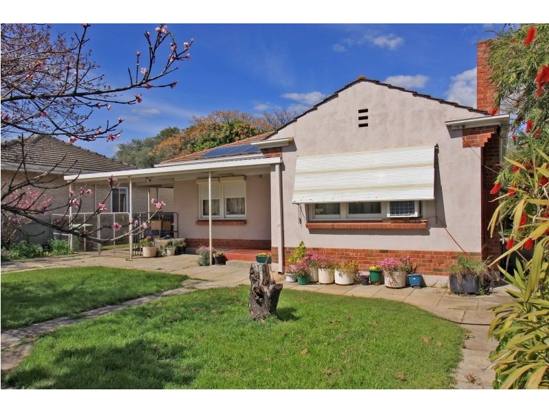 13 Australian Avenue, Clovelly Park SA 5042