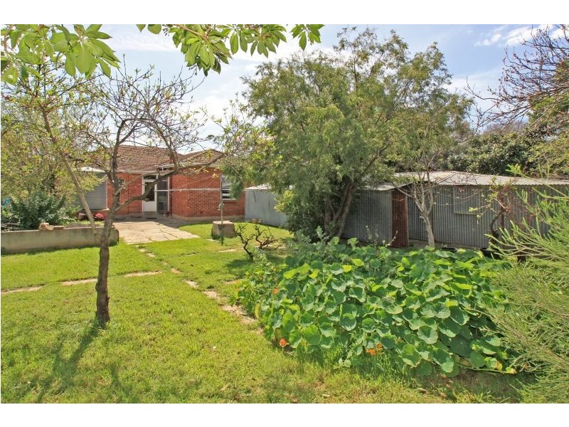 13 Australian Avenue, Clovelly Park SA 5042