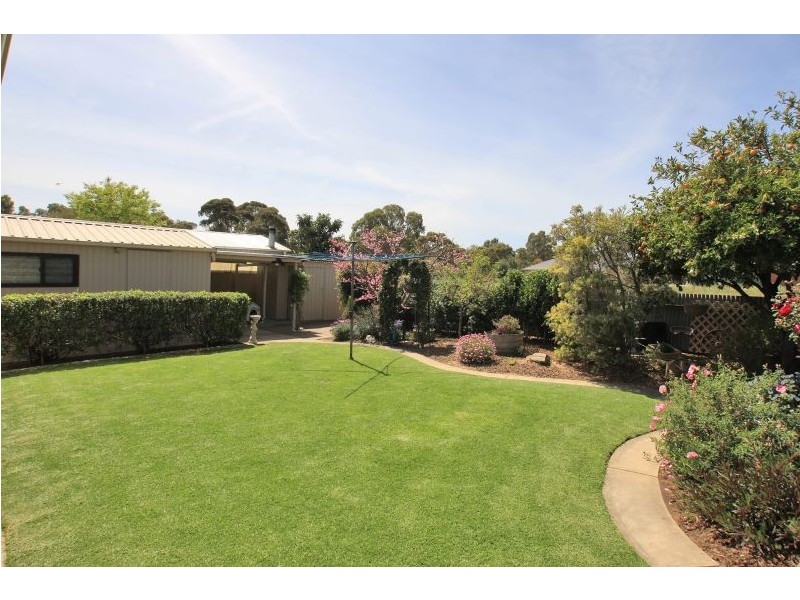 57  Torrens Avenue, Lockleys SA 5032