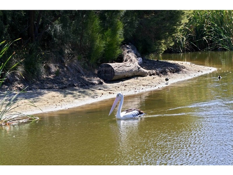 75  Esplanade, Henley Beach SA 5022